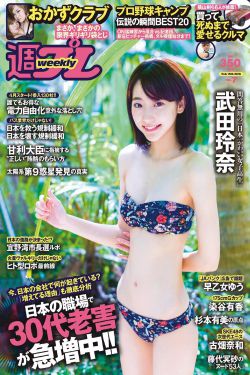 陪你逐风飞翔